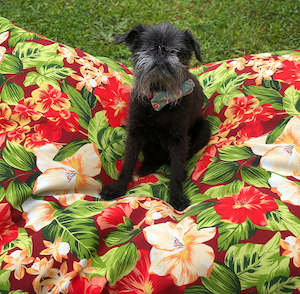 Sleep: Outdoor All Weather Dog Bed (Unfilled) - Tropical Garden