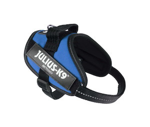 Travel: Julius IDC Powerharness - Blue - small sizes