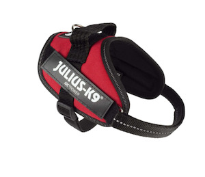 Julius IDC Powerharness - Red