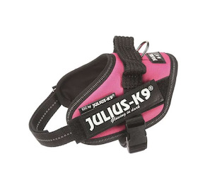 Julius IDC Powerharness - Dark Pink - small sizes