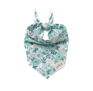 Mayberry Bandana