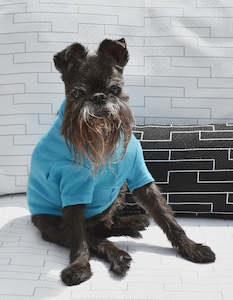 Wear: Turquoise Blue Activewear Merino Tee