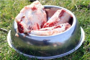 Products: Veal Brisket CharliesPetSupplies