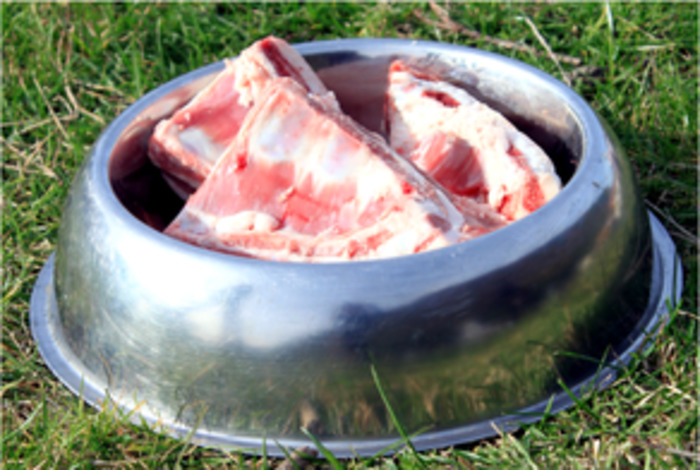 ​Lamb Brisket Bones CharliesPetSupplies