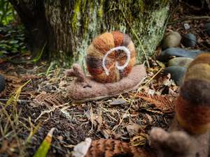 Kauri Snail