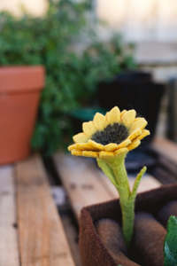 Wool Felt Mini Sunflower