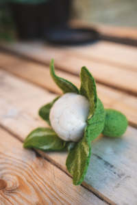 Wool Felt Garden Vegetables - CAULIFLOWER