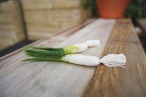 Wool Felt Garden Vegetables - SPRING ONION