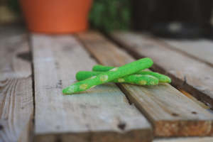 Wool Felt Garden Vegetables - ASPARAGUS (3)
