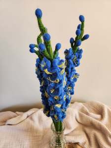 The Hidden Rainbow - Decorative Flowers - DELPHINIUM