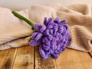 The Hidden Rainbow - Decorative Flowers - CHRYSANTHEMUM
