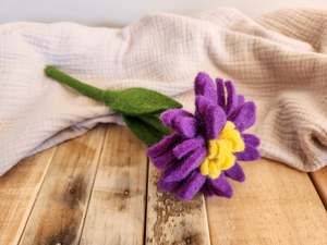 The Hidden Rainbow - Decorative Flowers - ASTER