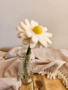 The Hidden Rainbow - Decorative Flowers - DAISY