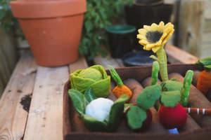 Wholesome Harvest - Garden Play Set