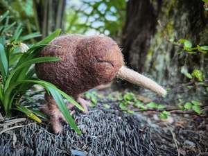 Aotearoa Land Of Little Wonders: Kiwi Pēpi & Egg - Felted Wool Bird