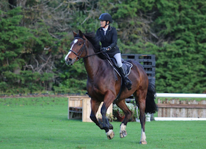 Bella - Chasing Zebras