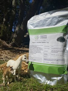 Organic Spirulina Tablets 1kg