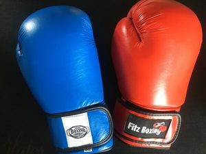 Products: Leather Boxing Gloves - Christchurch Martial Arts
