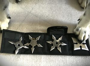 Products: Shuriken Set of 4 - Christchurch Martial Arts