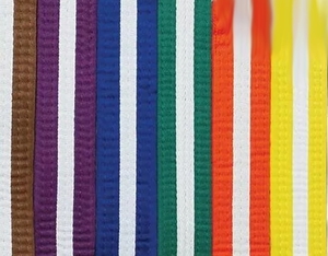 Belts With White Stripe - Christchurch Martial Arts