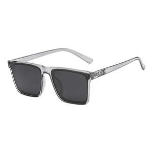 Sunglasses: ALC Block Sunglasses - Clear Frame/Smoke Lens