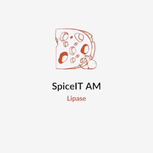 Products: SpiceIT (Lipase) 1KG - Cheeselinks Australia