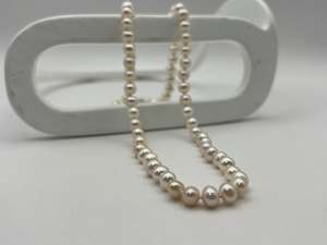 Freshwater Pearls with Parrot Clasp | 5-5.5mm