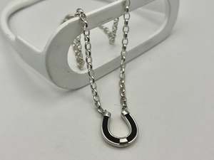 Pendants: Horsehair Shoe on Belcher Chain Necklace