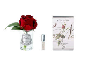 Cote Noire Rose Bud Carmine Red with Fra