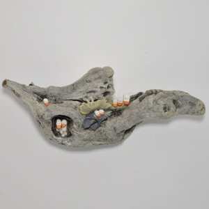 driftwood