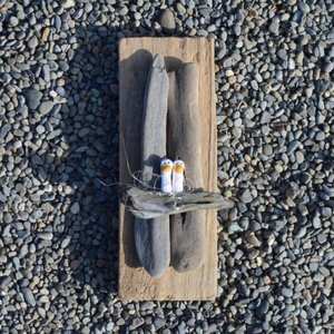 driftwood
