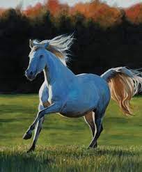 High Horse PD11122