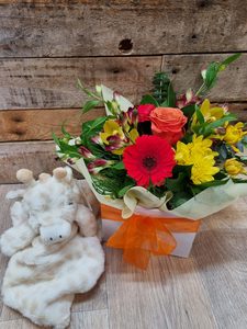 Products: New Baby Bundle - Cherrywood Florist Tauranga