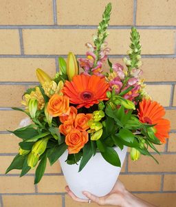 Bright Eco Pot - Cherrywood Florist Tauranga