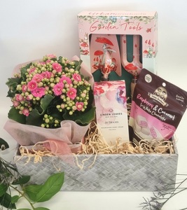 Products: Gardeners Gift Basket Cherrywood Florist Tauranga