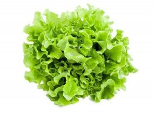 Vegetables: Lettuce - Lollo Biondi - each