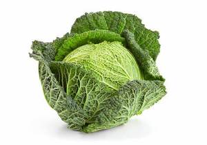 Vegetables: Cabbage Savoy Whole