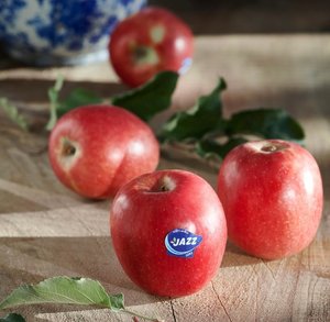 Apples - Jazz - per kilo