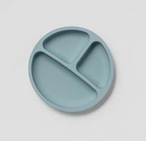 Feed: Silicone Divided Plate Rain
