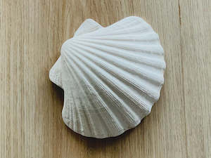 Care: Concha Scallop Shell
