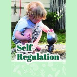 Products: Self-Regulation Booklet