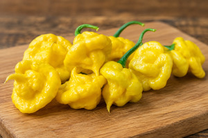 Seeds: Seeds - Khang Star Lemon Starburst