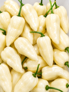 Seeds: Seeds - Habanero White Lantern