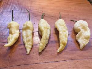 Seeds: Seeds - Bhut Jolokia White (White Ghost)