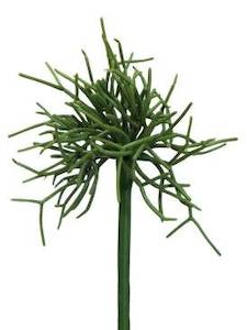 Decor: CACTUS PICK
