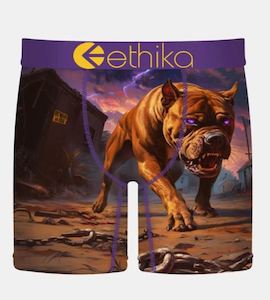 Ethika: Terror Terrier Mid
