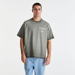 Mens: Tour Box Raglan Tee - Burnout Grey