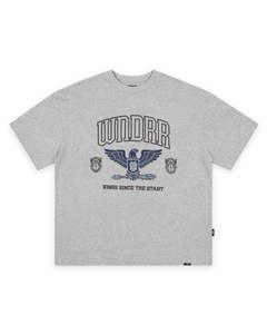 Mens T Shirts: Riot Heavy Weight Tee - Grey Marle