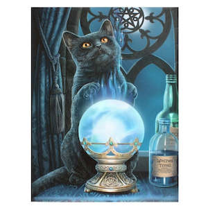 Small witches apprentice canvas