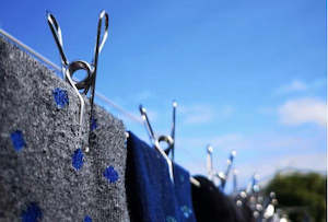 FOREVER PEGS Marine Grade Stainless Steel Clothes Pegs from Bento Ninja (20 pegs)